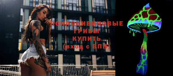 прущие крисы Лабытнанги